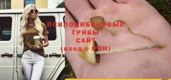 2c-b Баксан