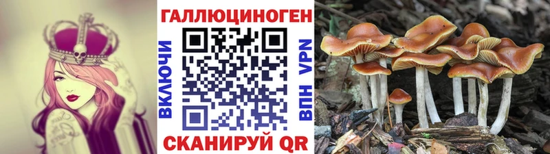 где продают   Усть-Катав  Галлюциногенные грибы ЛСД 